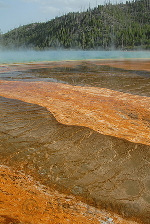 Middle Geyser Basin, Yellowstone National Park, Wyoming