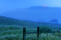 Morning mist, Crested Butte, Colorado