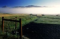 Horse ranch, Crested Butte, Colorado