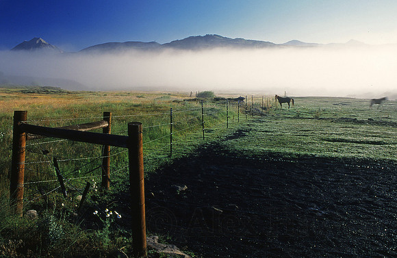 Horse ranch, Crested Butte, Colorado