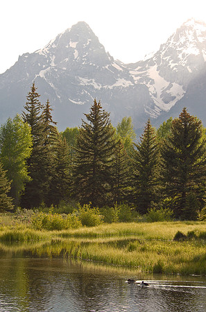 Snake River near Schwabacher Road, Grand Teton National Park, Wyoming