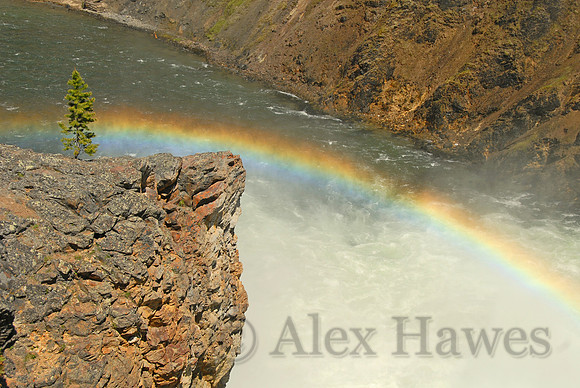 Grand Canyon of the Yellowstone, Wyoming