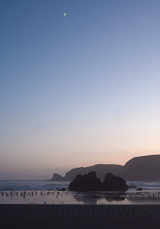 Samuel H. Boardman State Scenic Corridor near Brookings, Oregon