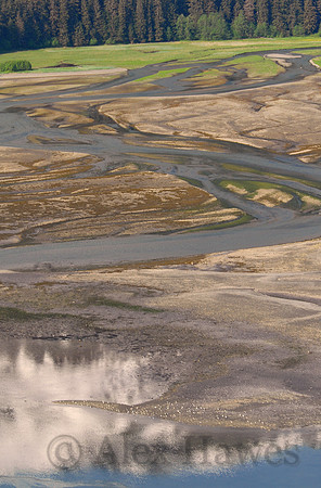 Pack Creek, Admiralty Island, Alaska