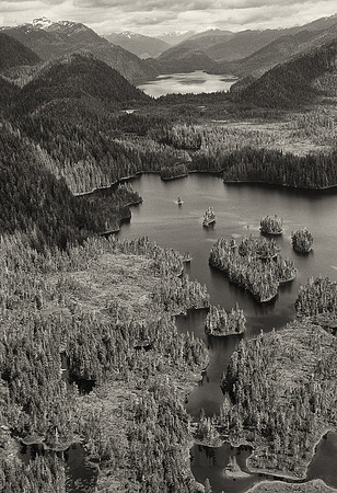 Aerial view of Misty Fjords National Monument, Alaska