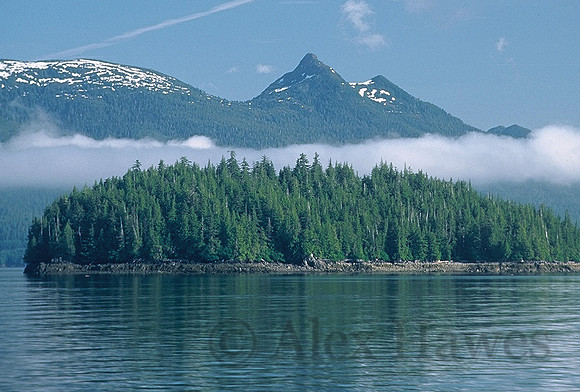 Along the Inside Passage, southeastern Alaska