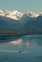 Admiralty Island, near Juneau, Alaska
