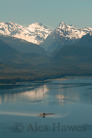Admiralty Island, near Juneau, Alaska