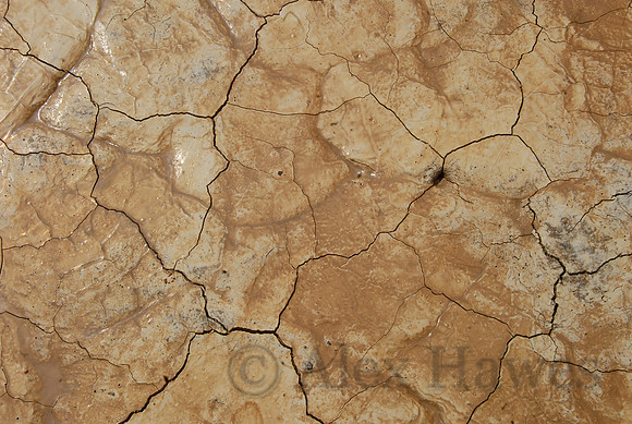 Alvord Desert playa, southeast Oregon