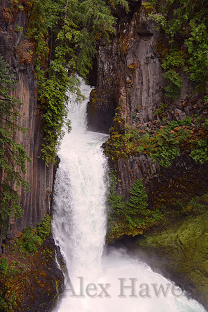 Silver Falls State Park, Oregon