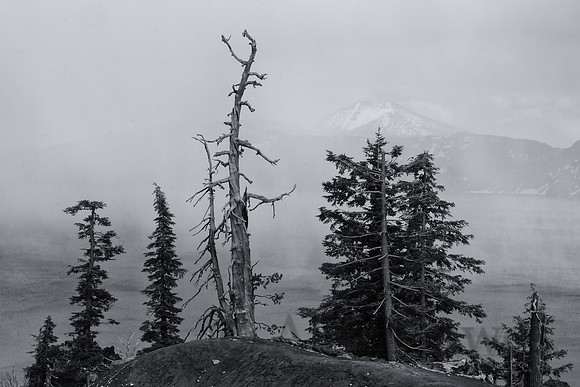 Crater Lake National Park, Oregon