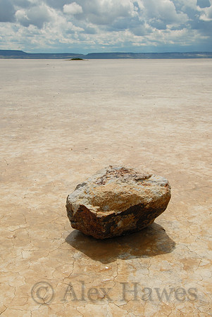 Alvord Desert playa, southeast Oregon