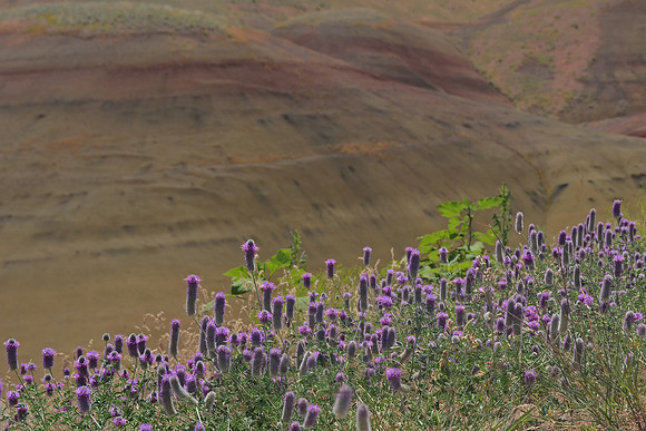 John Day Fossil Beds National Monument, Oregon