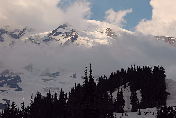Olympic Range, Olympic National Park, Washington