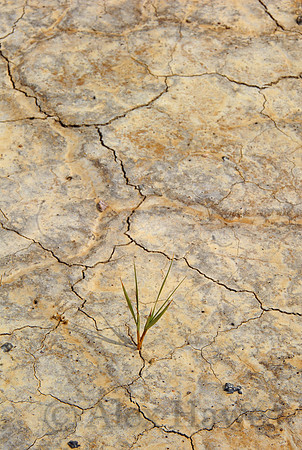 Alvord Desert playa, southeast Oregon