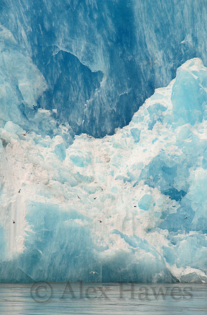 Sawyer Glacier, Tracy Arm fjord, Alaska