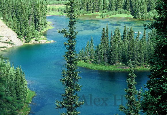 Horseshoe Lake, Denali National Park, Alaska