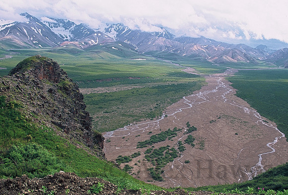 Teklanika River Valley, Denali National Park, Alaska