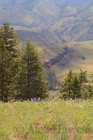 Hells Canyon Scenic Byway, Oregon