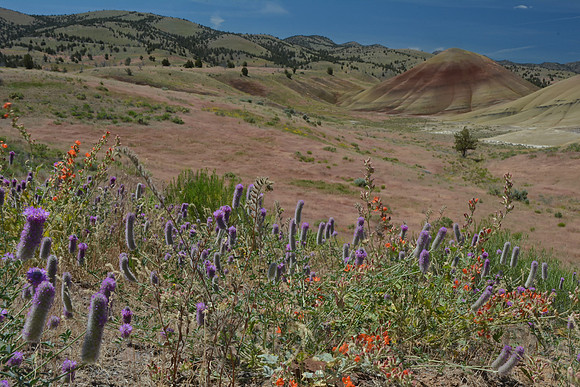 John Day Fossil Beds National Monument, Oregon