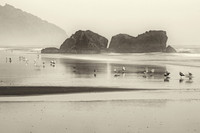 Samuel H. Boardman State Scenic Corridor near Brookings, Oregon