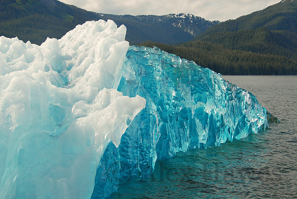 Iceberg, Tracy Arm, Alaska