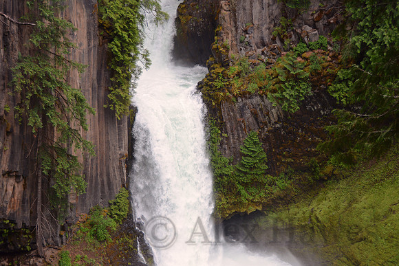Silver Falls State Park, Oregon