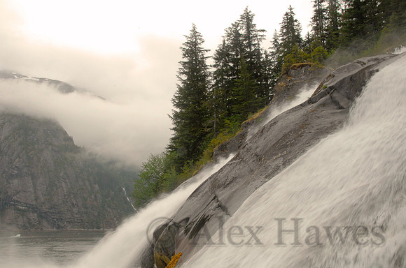Tracy Arm fjord, Alaska