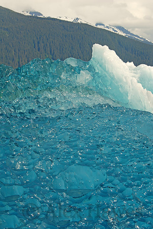 Iceberg, Tracy Arm, Alaska