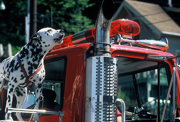 Fourth of July Parade, Ketchikan, Alaska