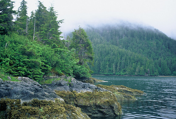 Coastline near Sitka, southeastern Alaska