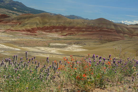 John Day Fossil Beds National Monument, Oregon