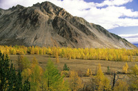 October foliage, Lake Baikal, Siberia