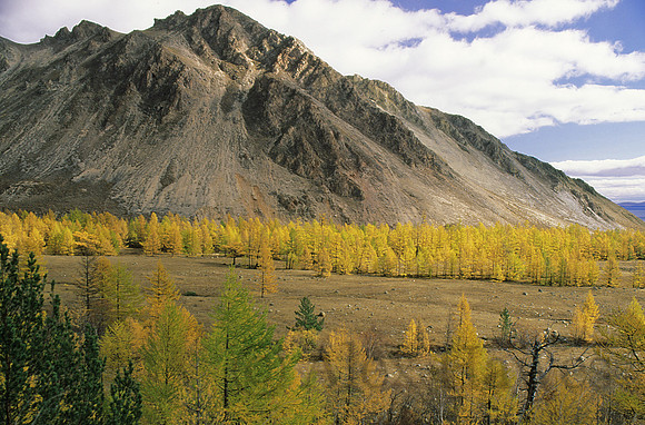 October foliage, Lake Baikal, Siberia