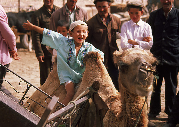 Boy selling camel, Kashgar Sunday Market, Xinjiang Province, China