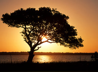 Lake Sibaya, iSimangaliso Wetland Park, South Africa
