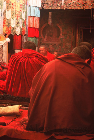 Morning prayers, Samye Monastery, Yarlung Valley, Tibet