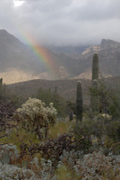Sabino Canyon rainbow, Tucson, Arizona