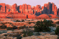 Cedar Mesa sandstone spires, The Needles District, Canyonlands National Park, Utah