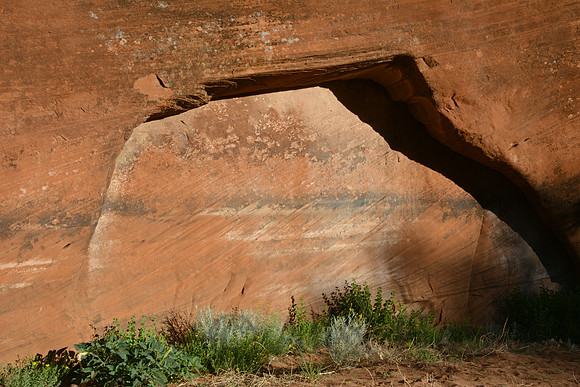 Cliff detail, Canyon de Chelly, Arizona
