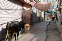 Leh, Ladakh, India