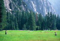 Sierra Nevadas
