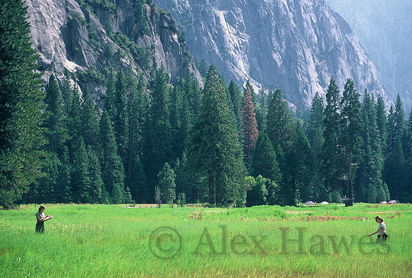 Park biologists, Yosemite Valley, Yosemite National Park, California