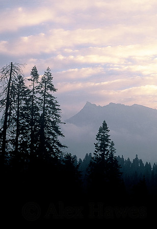 Sequoia National Park, California