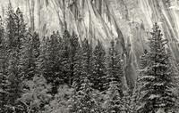 Yosemite Valley in winter, Yosemite National Park, California