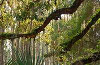 Skidaway Island, Savannah, Georgia