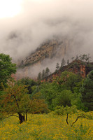 Sedona