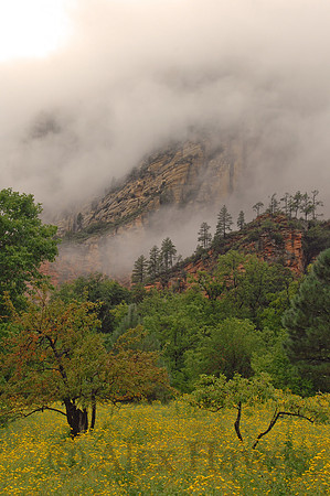 West Fork trailhead, Oak Creek Canyon, Sedona, Arizona