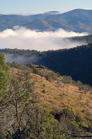 Gila National Forest, New Mexico