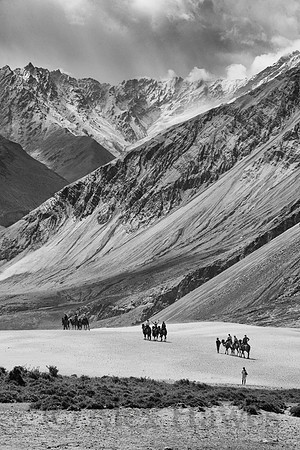 Hunder Sand Dunes, Nubra Valley, Ladakh, India